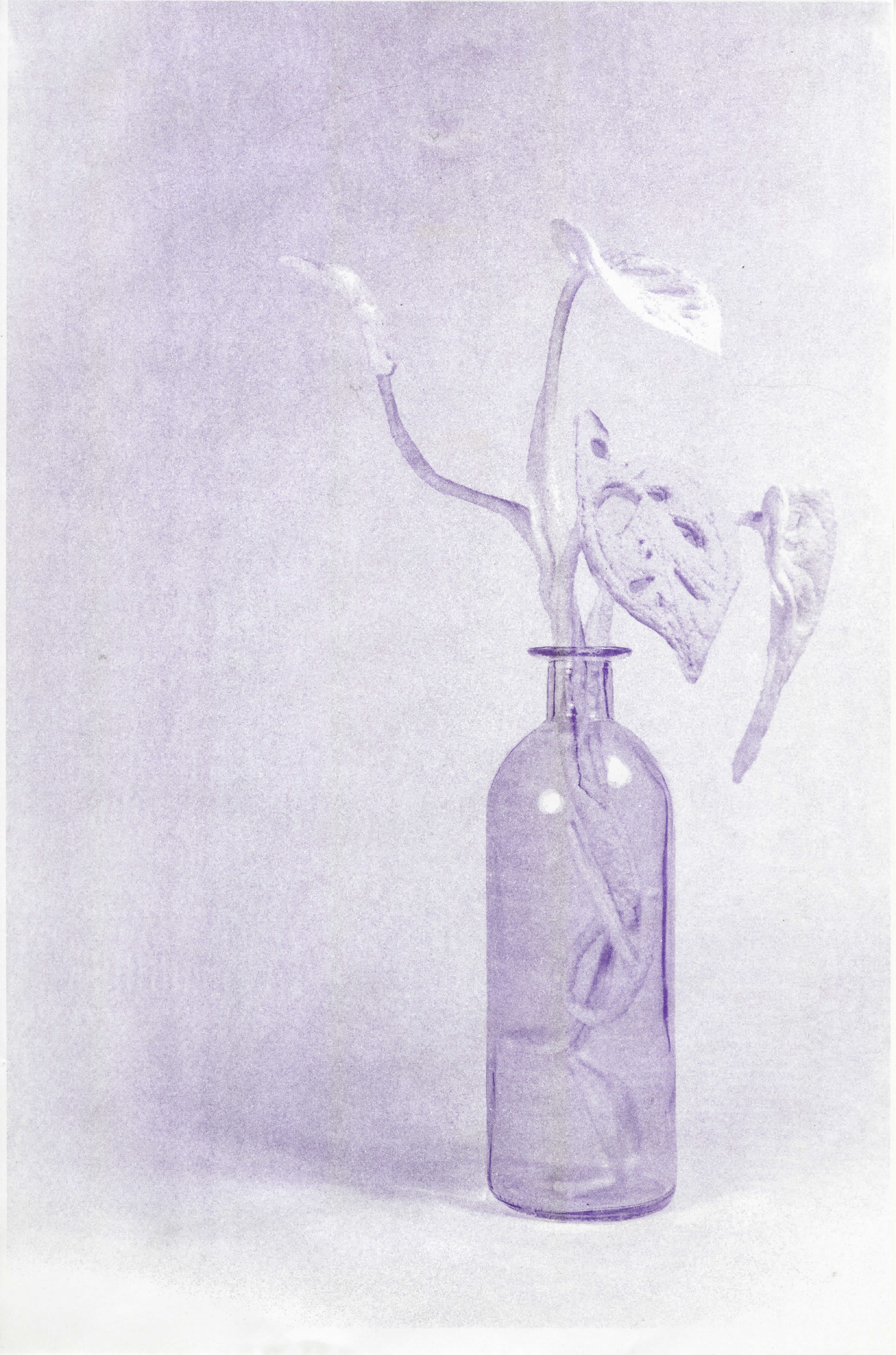 In-Person Tour: In Violet Light