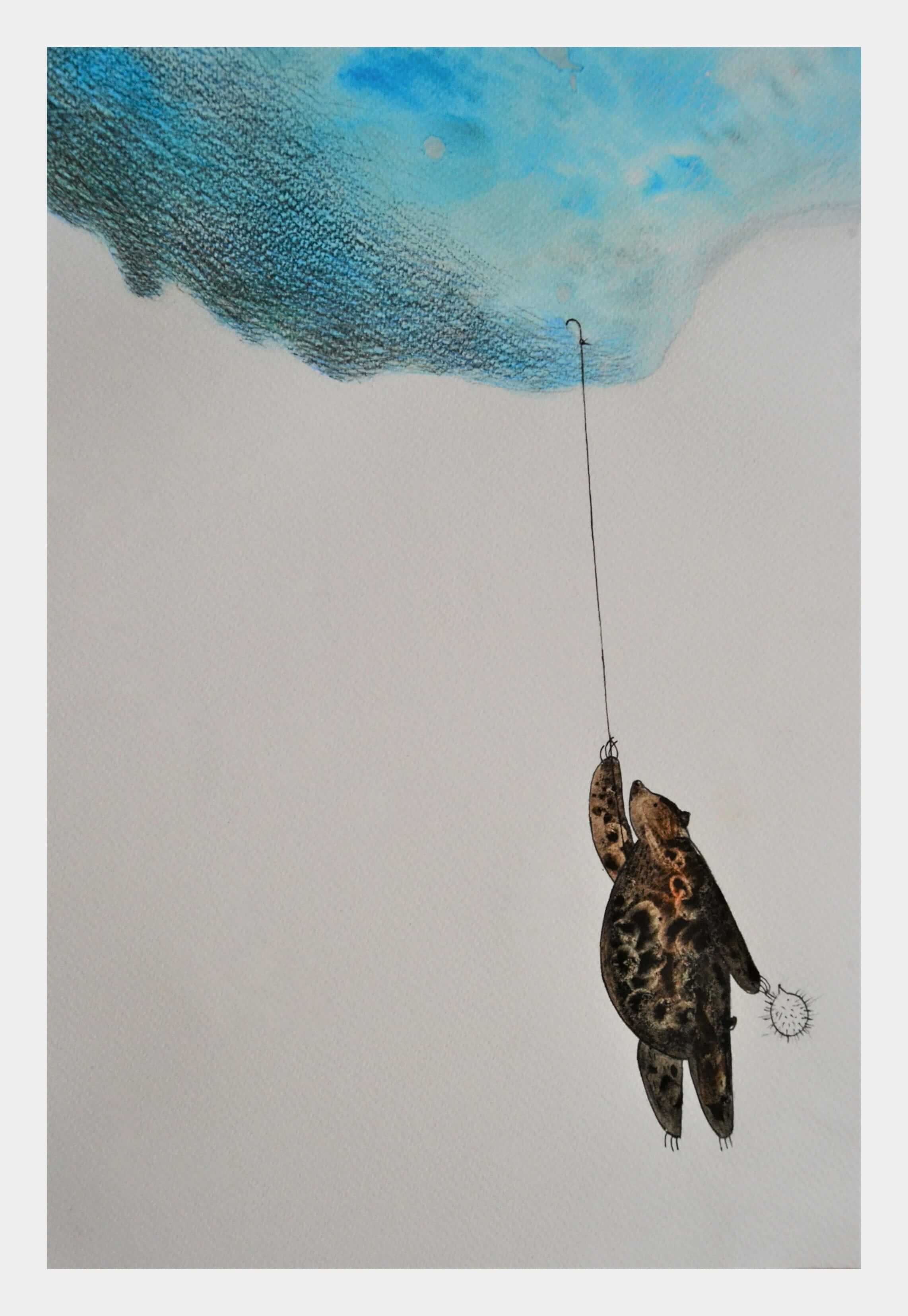 Cum să prinzi un nor