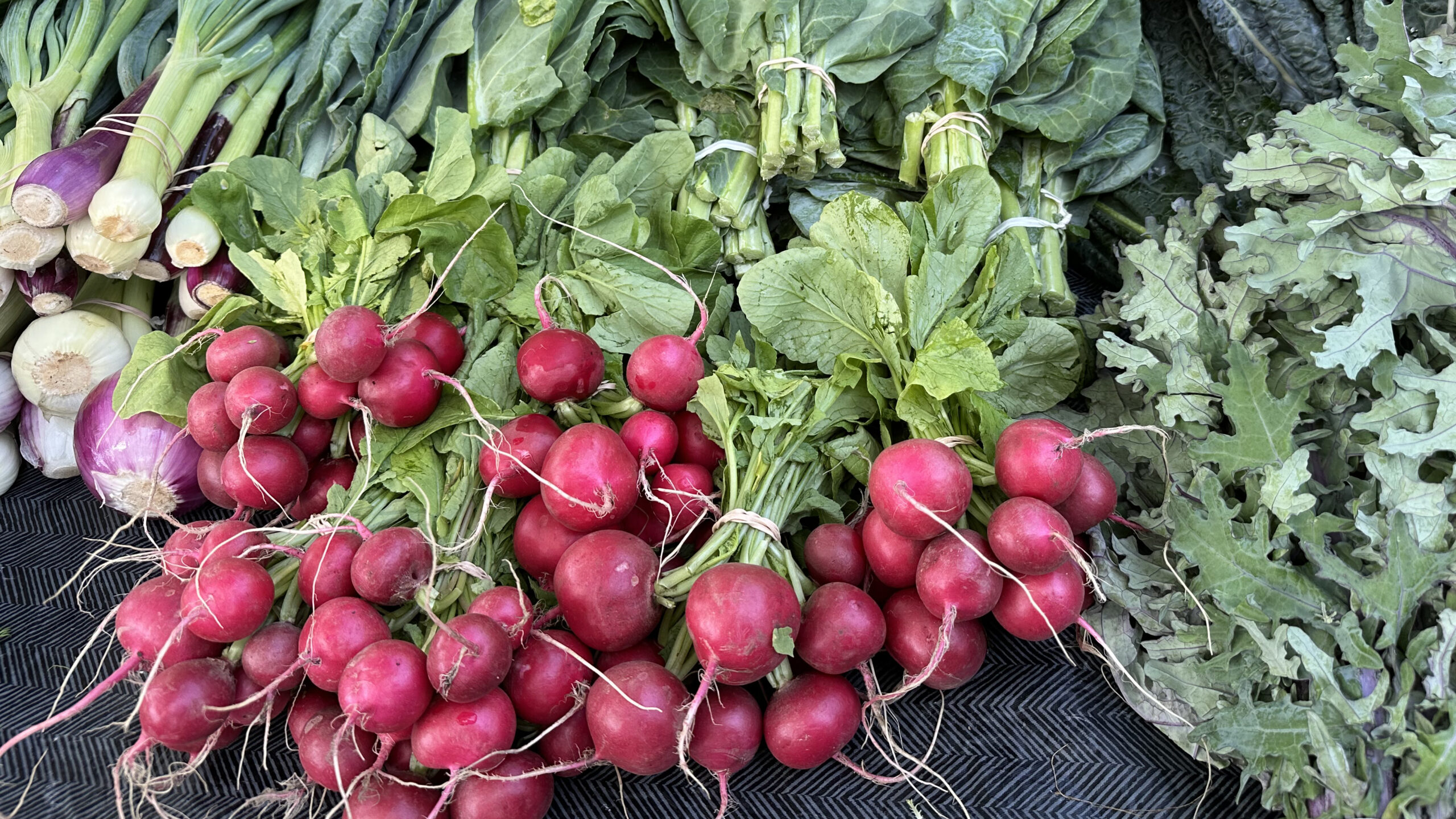 Farmer's Market — Community in Market Commons · Chapel Hill, NC