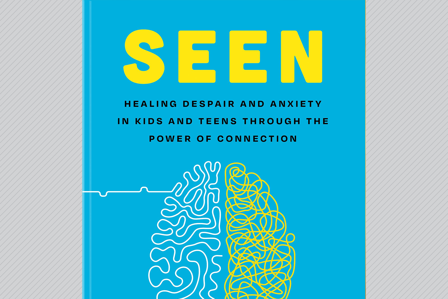 Seen: Despair and Anxiety in Kids and Teenagers and the Power of Connection