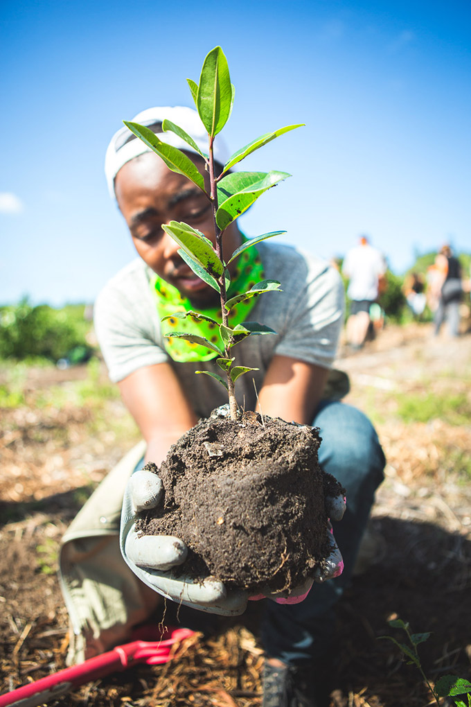 Picture for 'Gardens For Good - greenpop' event