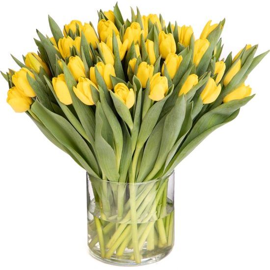dedon planters DEDON DALA Planter