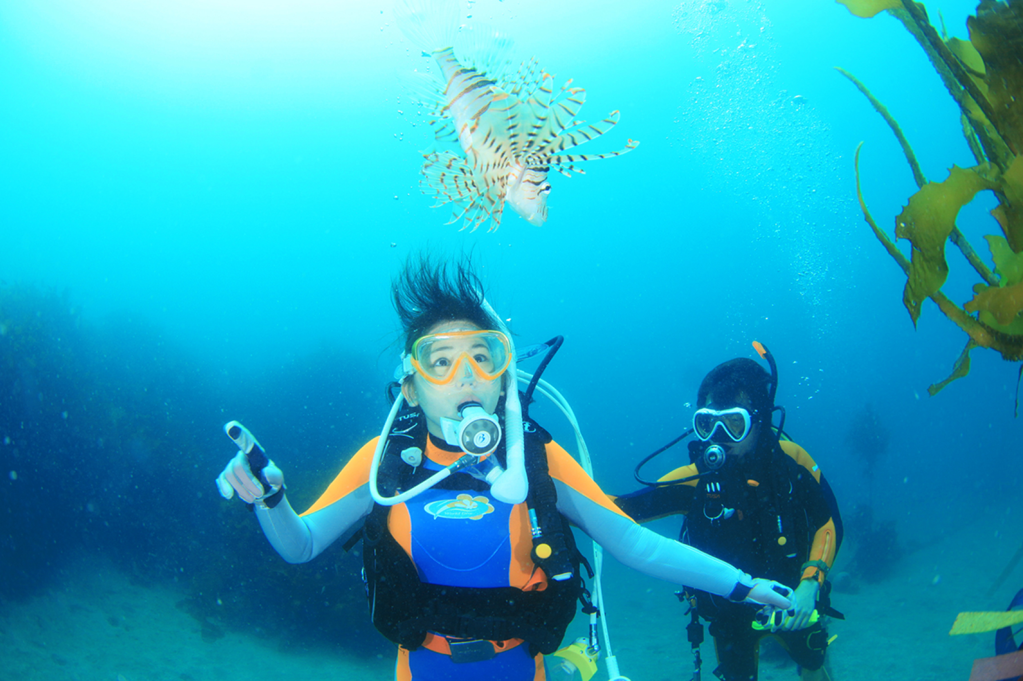 ダイビング ライセンス取得ツアー 東京 | ファンダイビングツアー