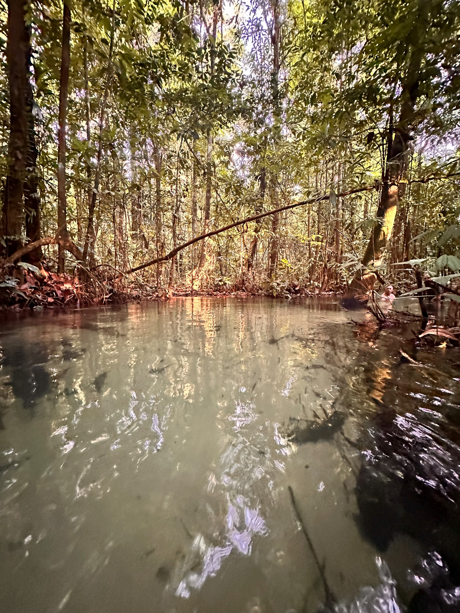 Águas límpidas e paisagem natural do afluente do Rio Tapajós