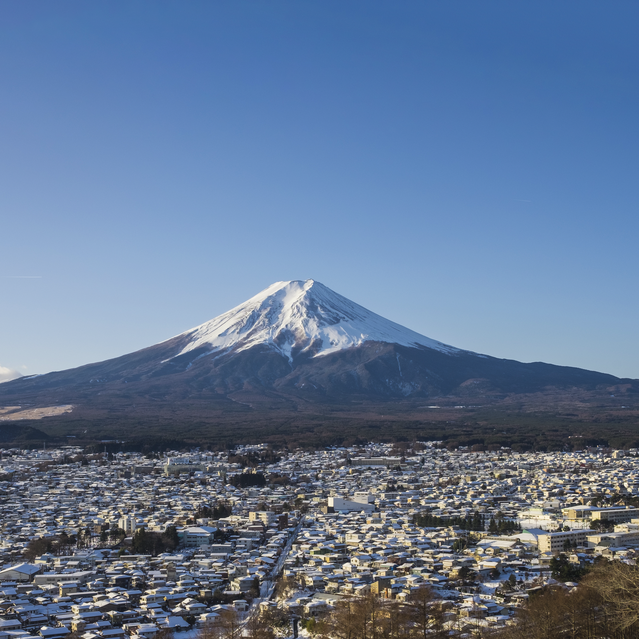 The Mt. Fuji Pint | Handblown Mountain Beer Glass Made in USA
