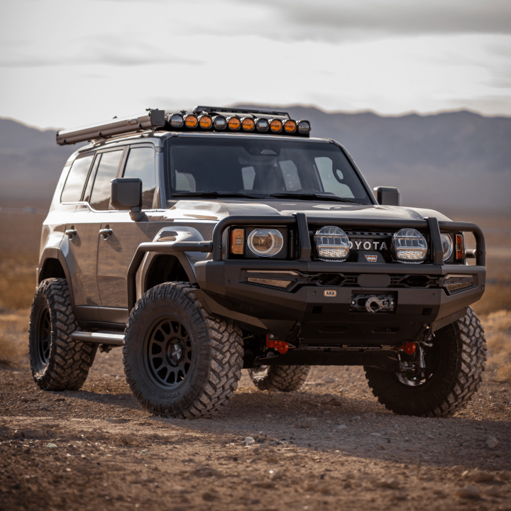 Image for 250 | 2024+