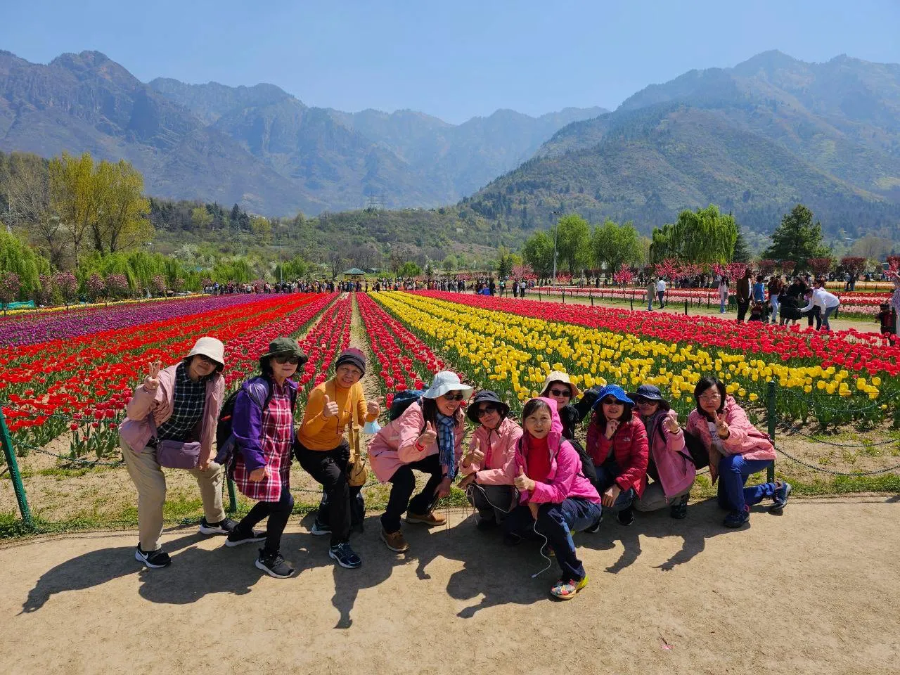 Kashmir & Tulip Festival - April 2024