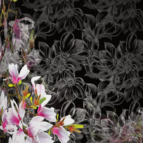 Magnolia