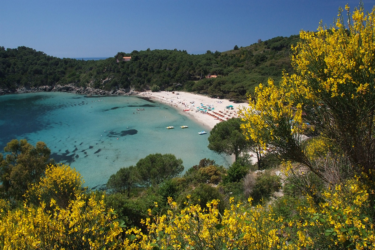 Isola D'Elba — Cartello QR GetYourGuide Toscana