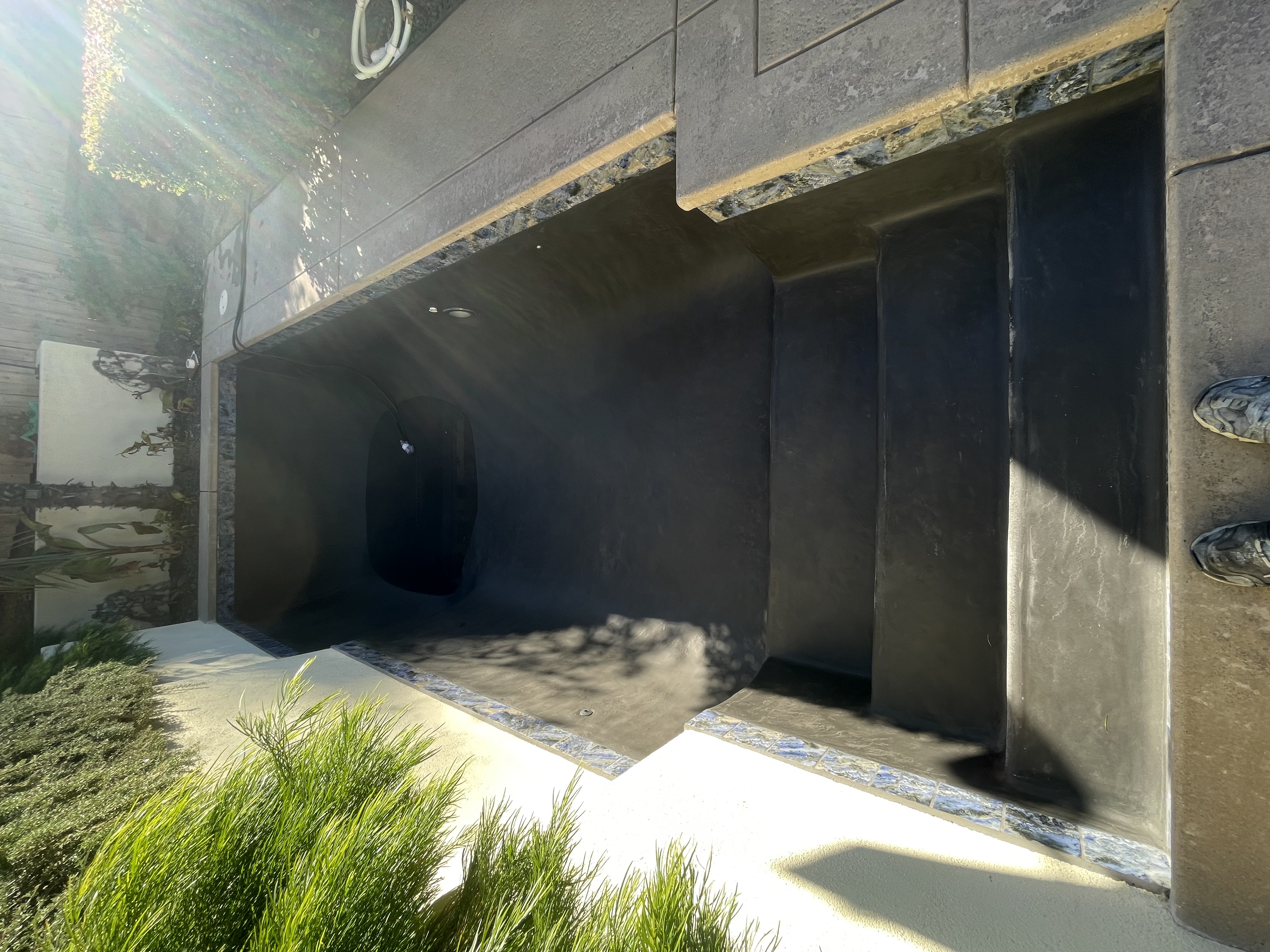 Sacramento pool project by Phenomenal Pool & Landscape