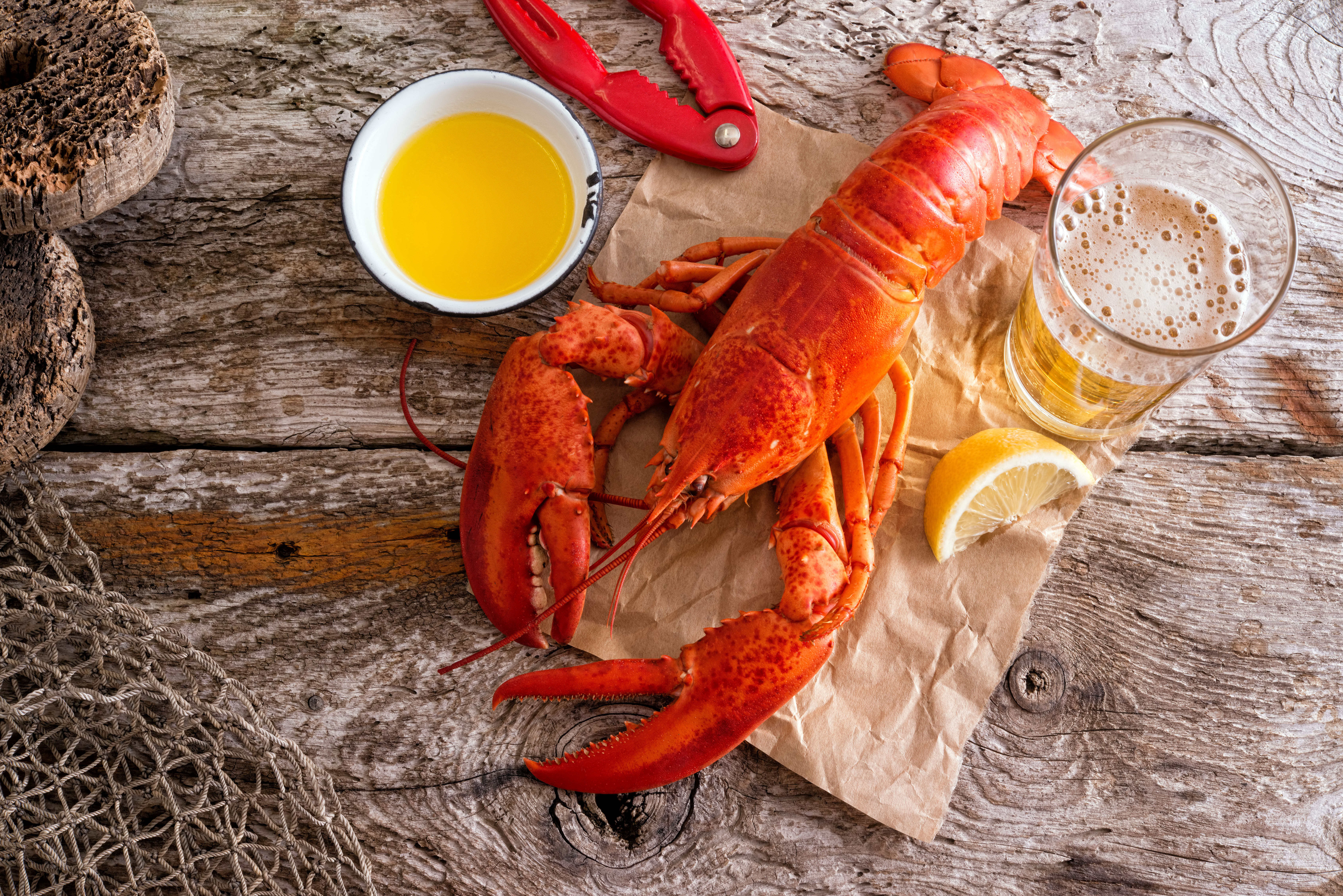 LOBSTER TUESDAYS