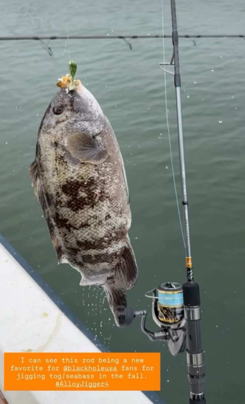 Alloy Jigger Nano Slow Pitch Jigging Rods, Black Hole USA, Alloy