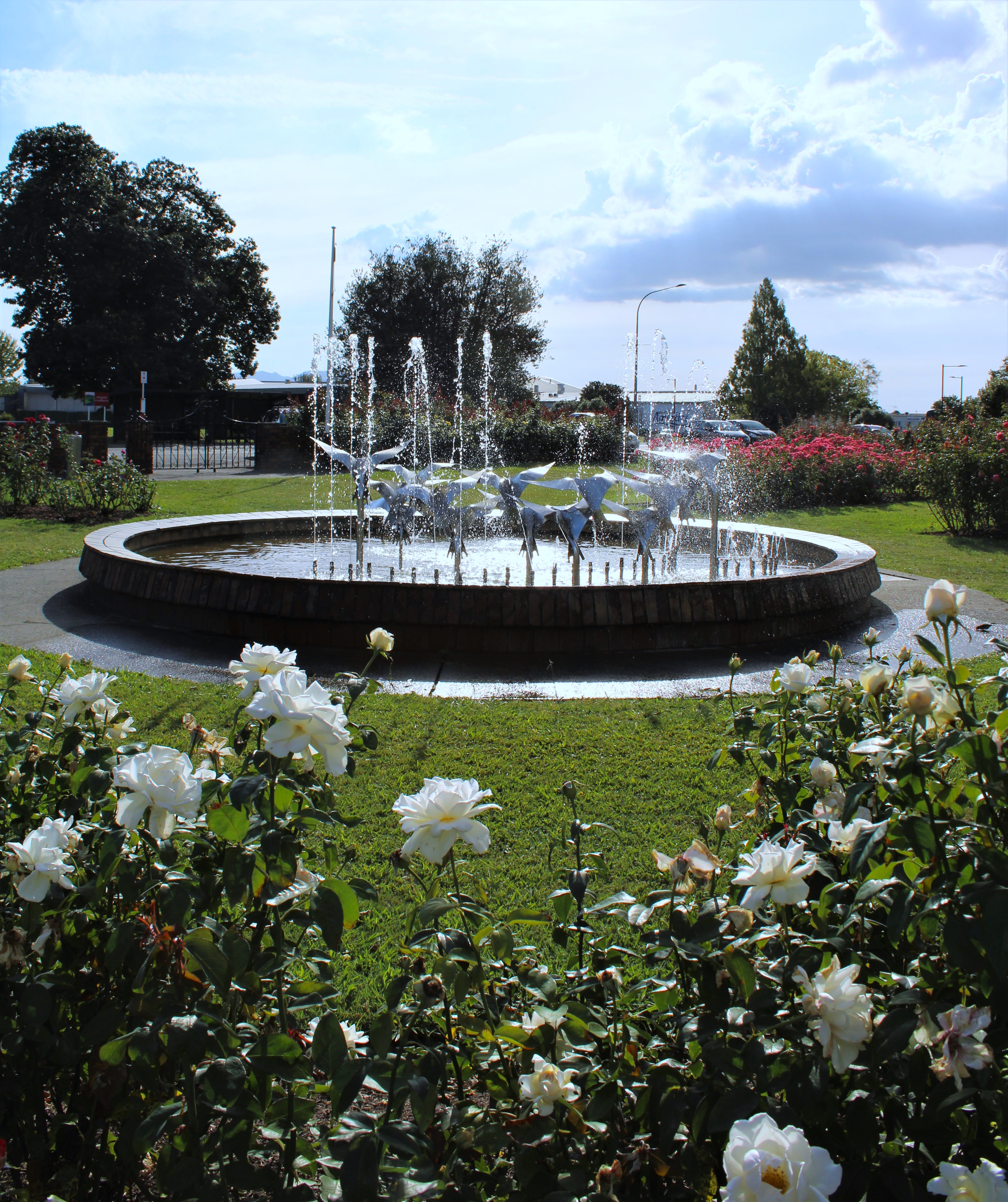 Te Awamutu Rose Gardens