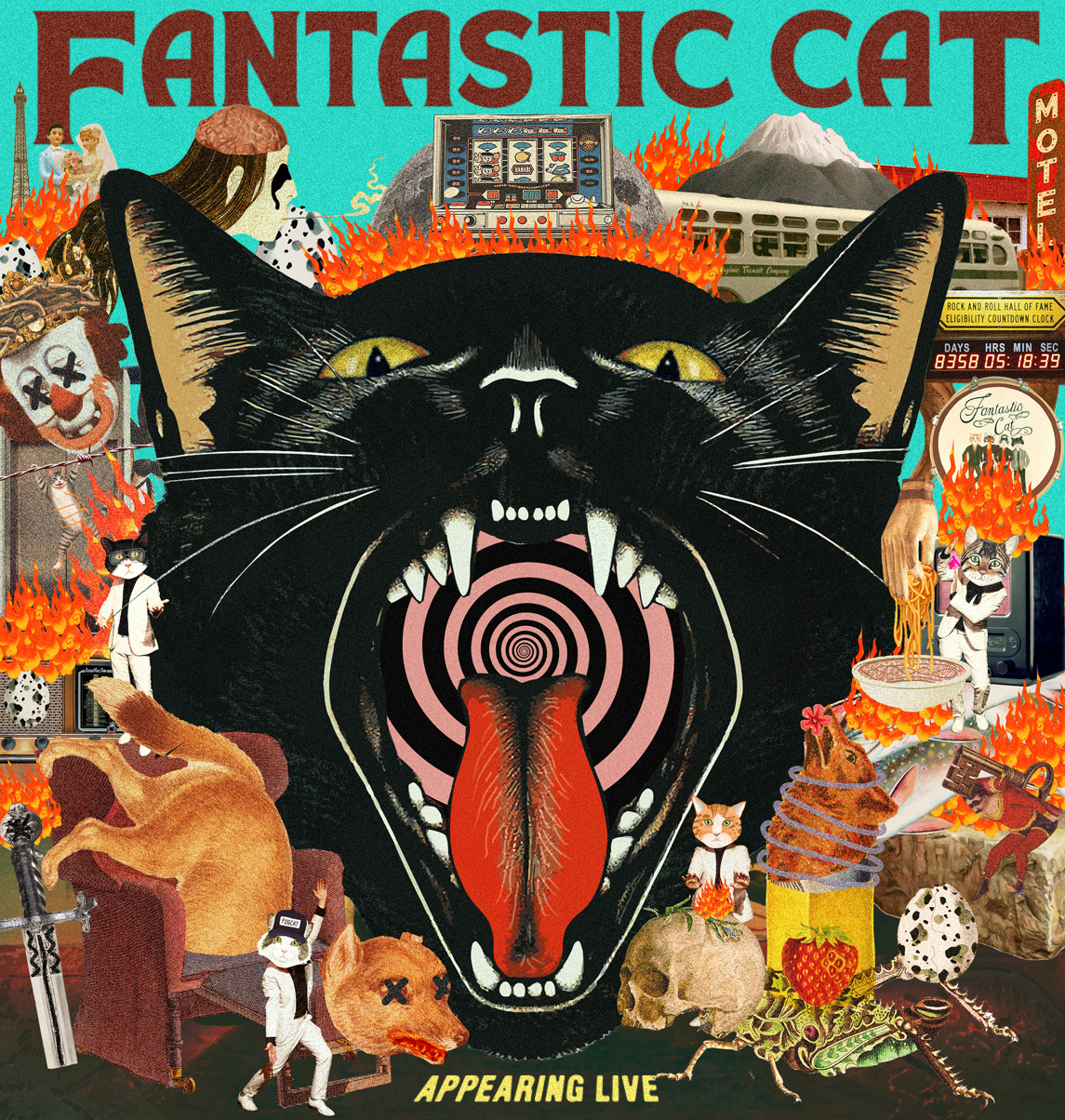 Fantastic Cat