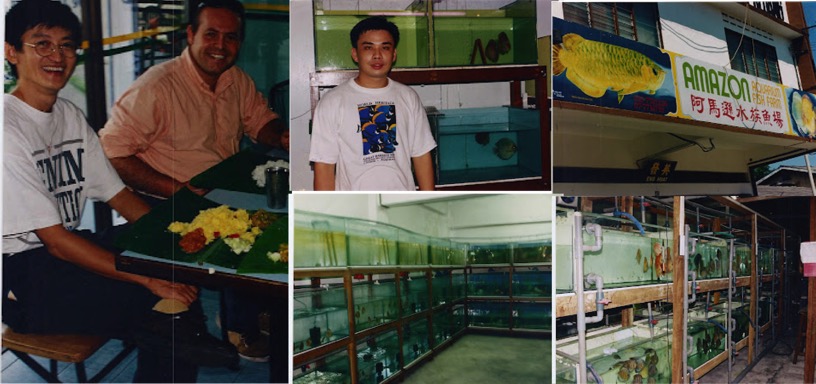 Começo no Mundo dos Discus