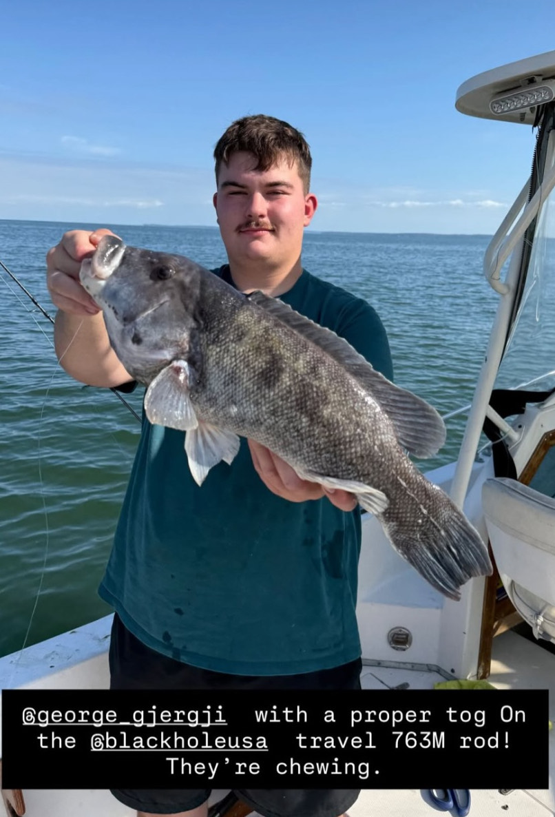 Surf II Series, Black Hole USA, Black Hole