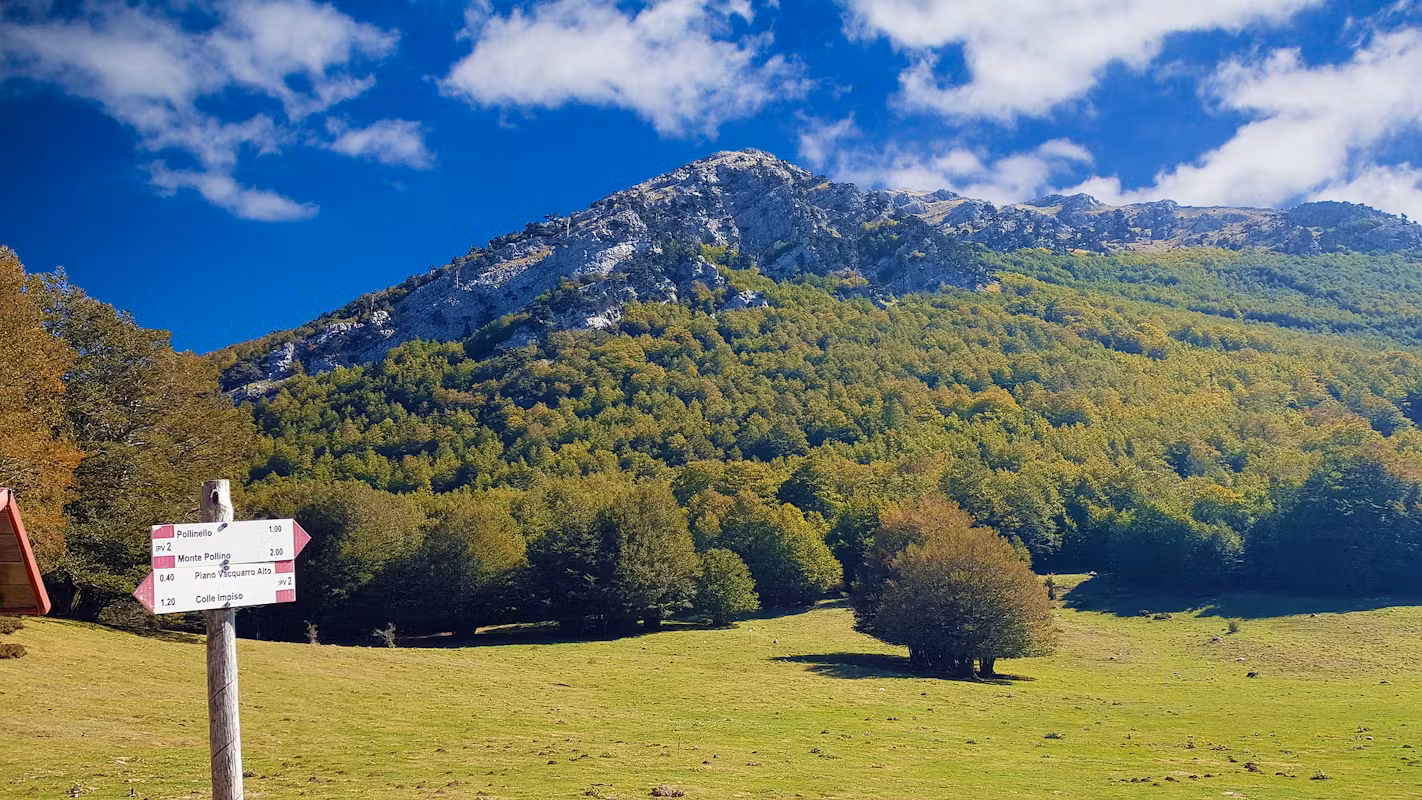 Parco Nazionale del Pollino — Cartello QR GetYourGuide Calabria