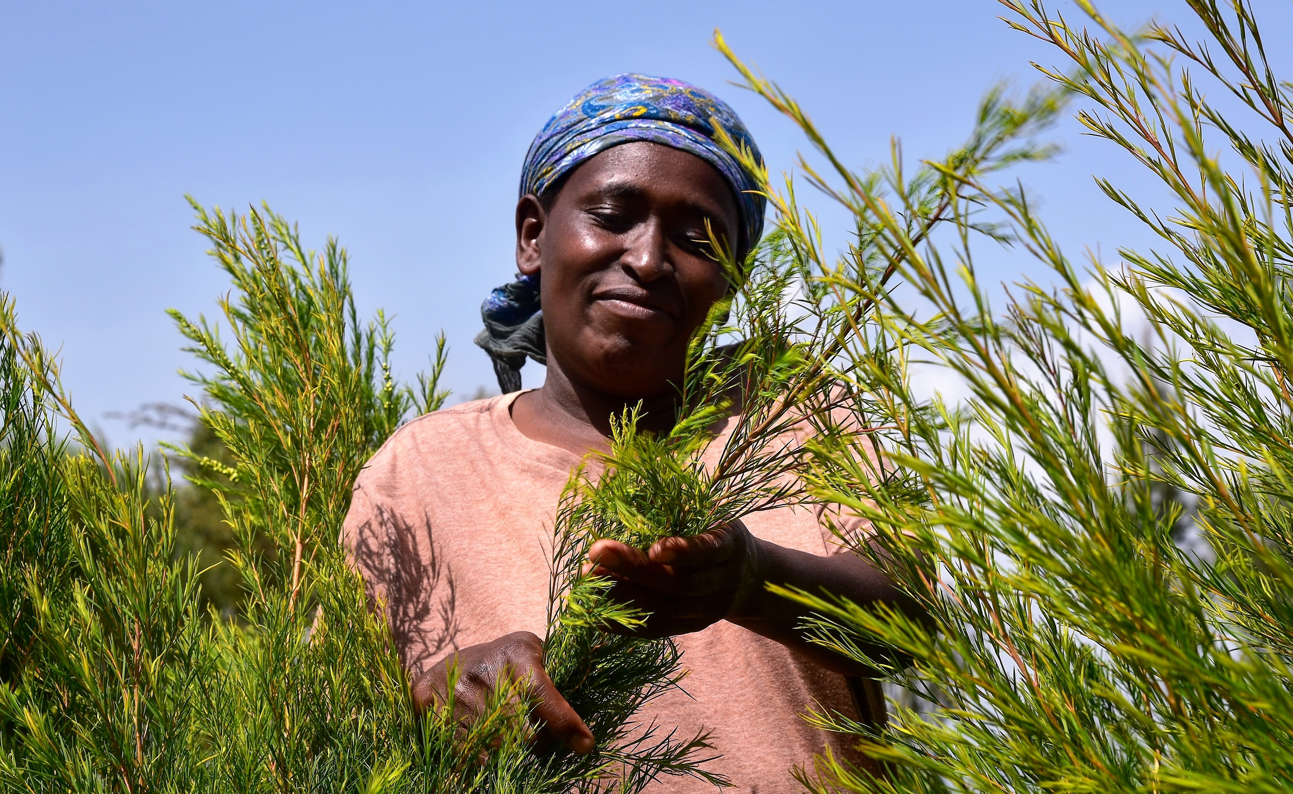 Catalysing climate-resilient agriculture in Kenya with solar-powered cold storage