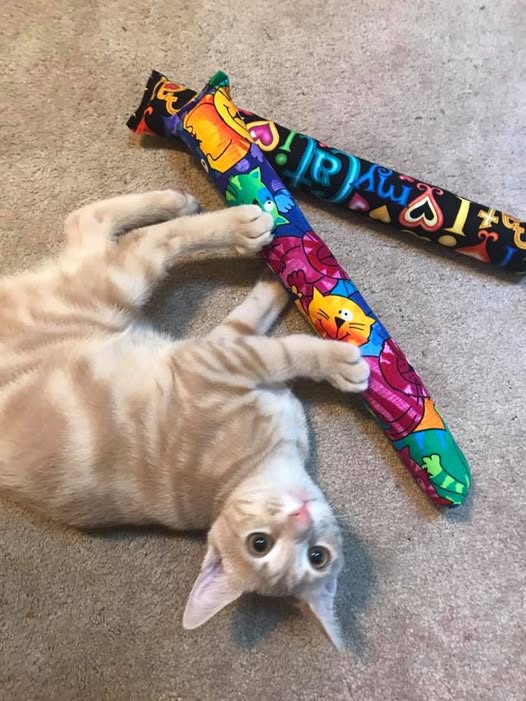 Kitty Kick Stix Katzenminze Spielzeug – 2 Stück, Handgefertigt In USA | Langlebig, Doppelt Genäht, Mit Glöckchen