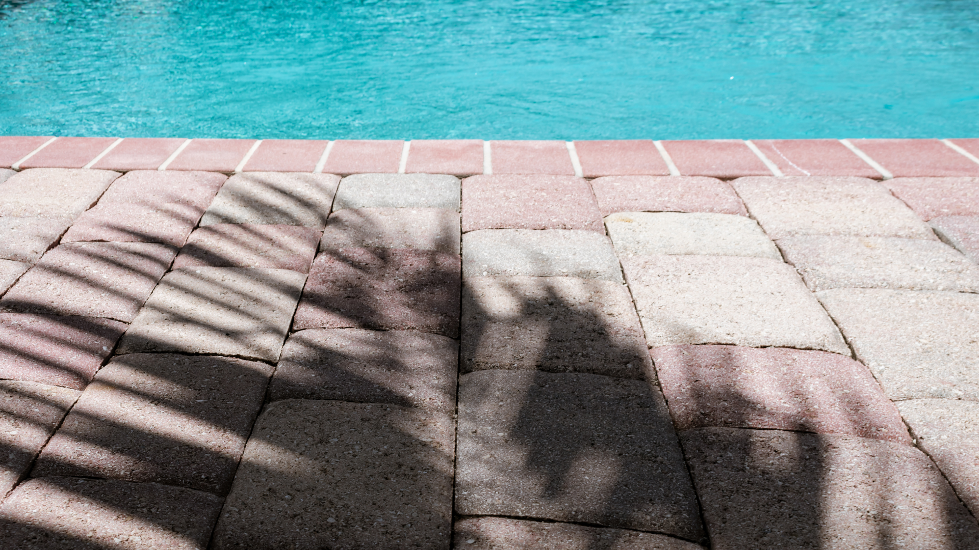 Florida Native Pools