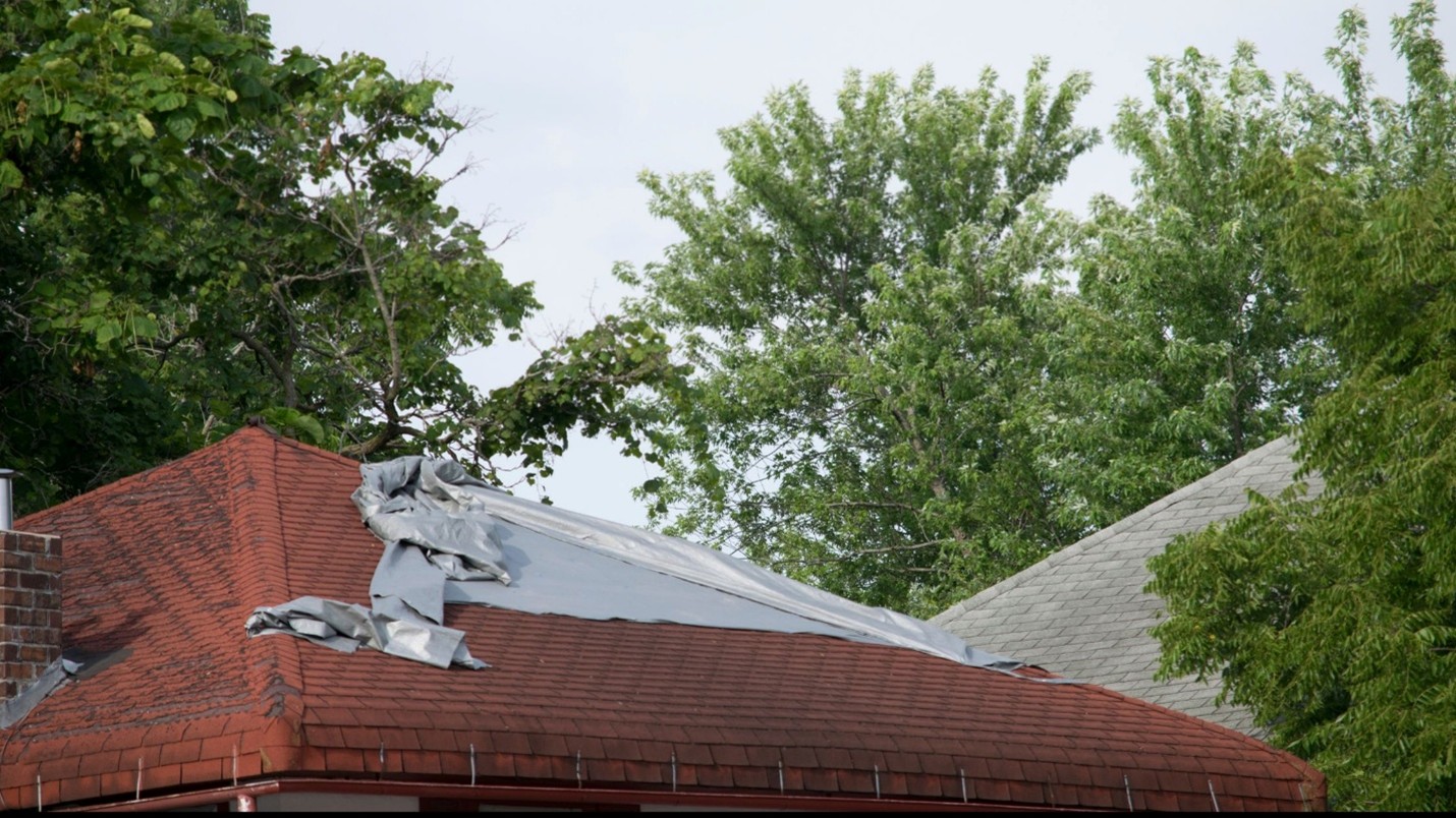 best roofing company in Mt Juliet