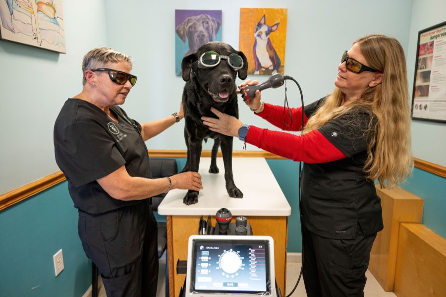 Dr. Crowe and Sharon with a patient at Creekside Vet Clinic