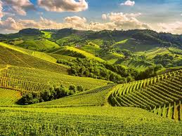 Cuneo e Le Langhe — Cartello QR GetYourGuide Piemonte