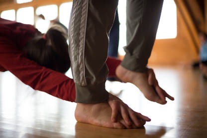 Adult Modern All Levels with Michele Marroquin and Gabby Carmichael