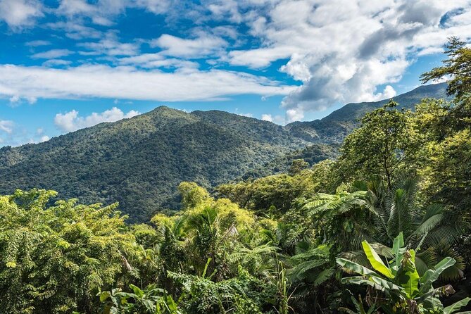 el-yunque-national-forest-1.jpg
