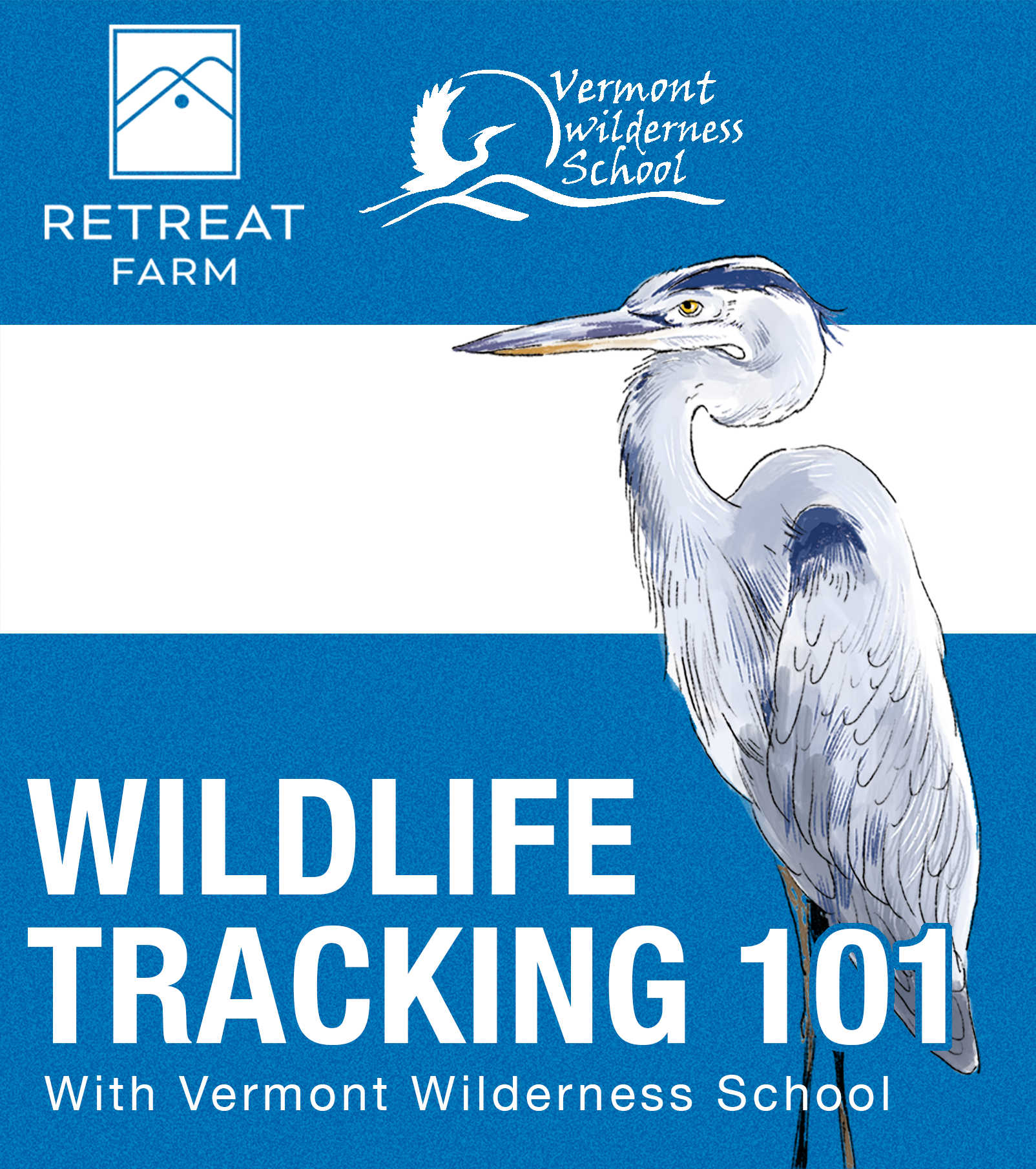 Wild Wisdom: Wildlife Tracking 101