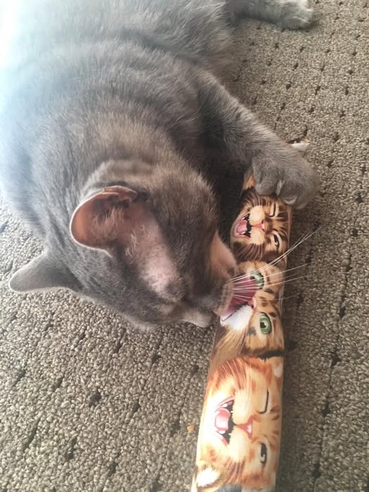 Kitty Kick Stix Katzenminze Spielzeug – 2 Stück, Handgefertigt In USA | Langlebig, Doppelt Genäht, Mit Glöckchen