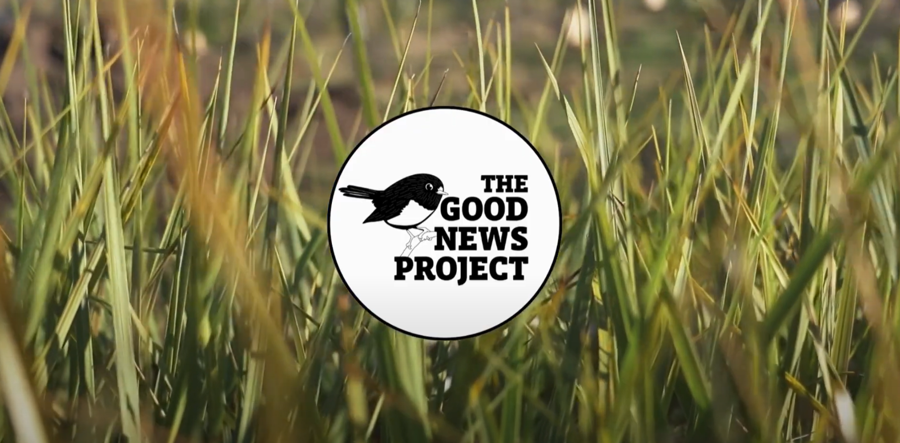 The Good News Project 2025