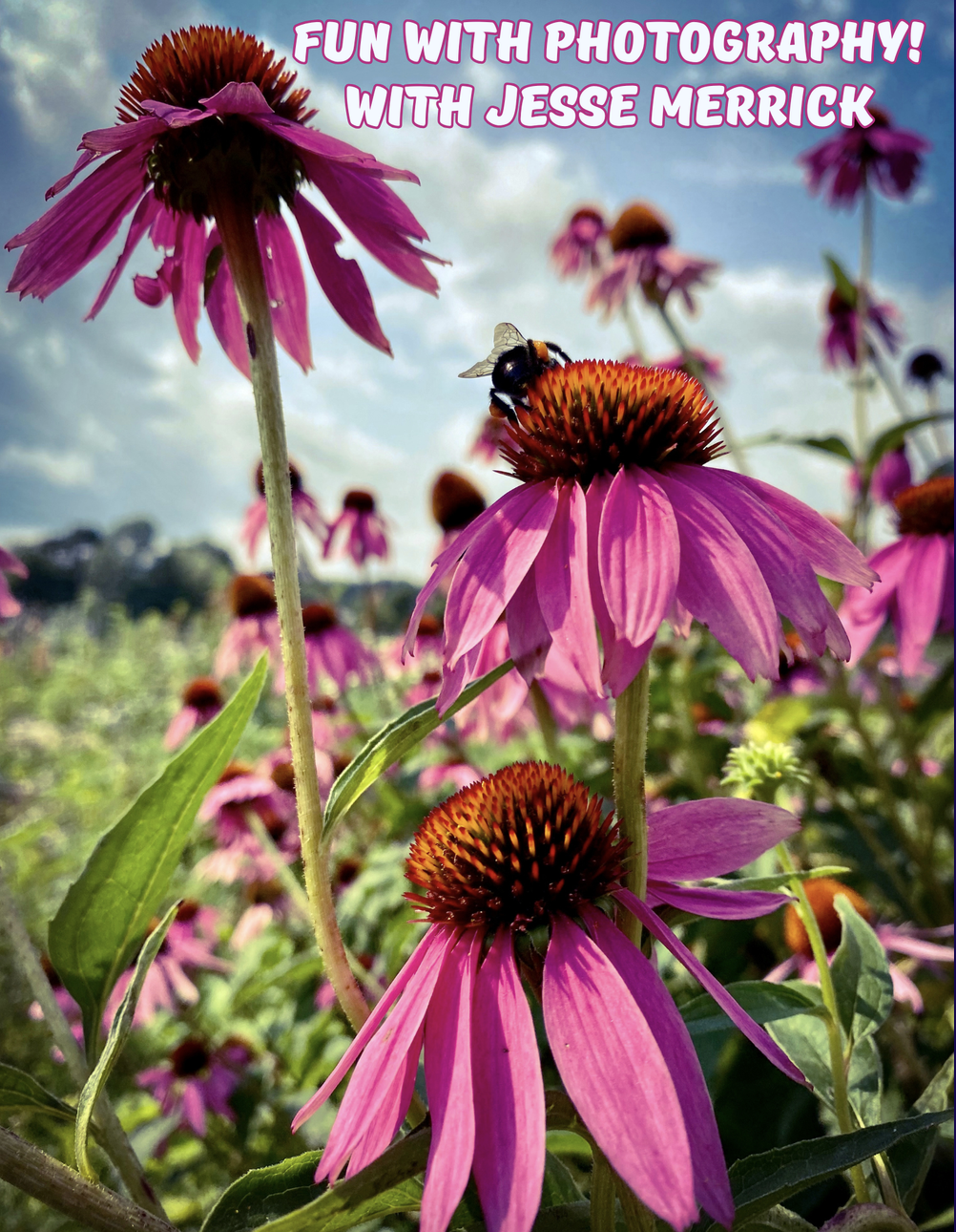 Fun with Photography