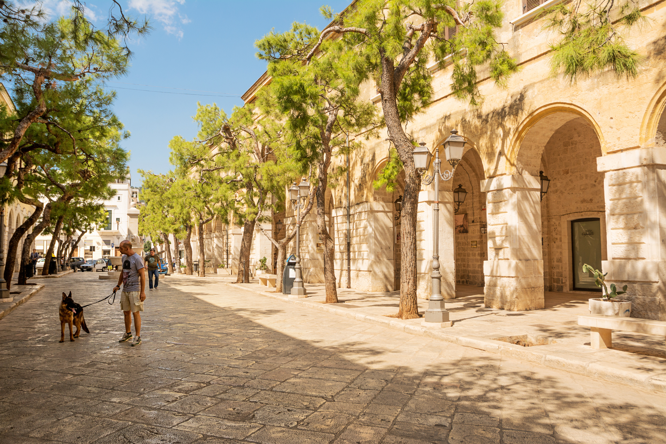 Fasano — Cartello QR GetYourGuide Puglia