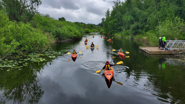 Bellevue Parks Levy and Livability Bellevue PAC