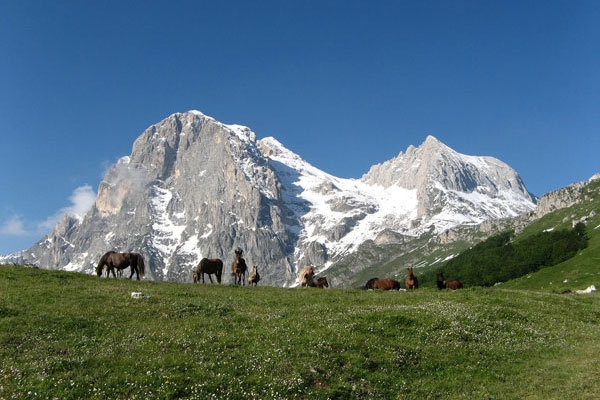 L'Aquila e dintorni — Cartello QR GetYourGuide Abruzzo