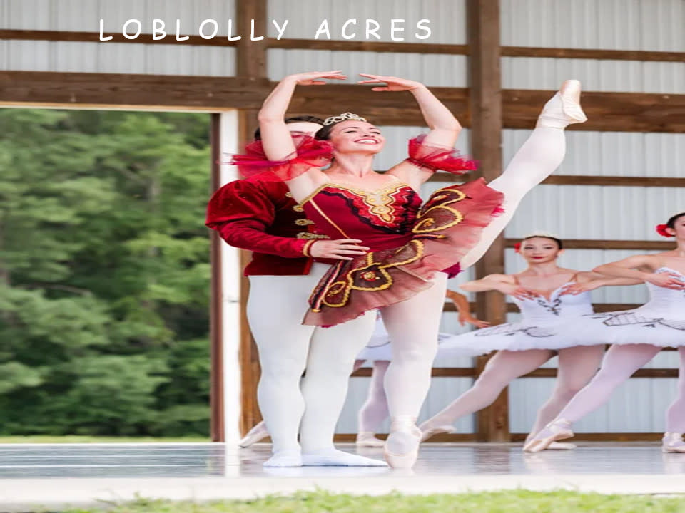 3rd Annual Ballet Brews BBQ & Blue