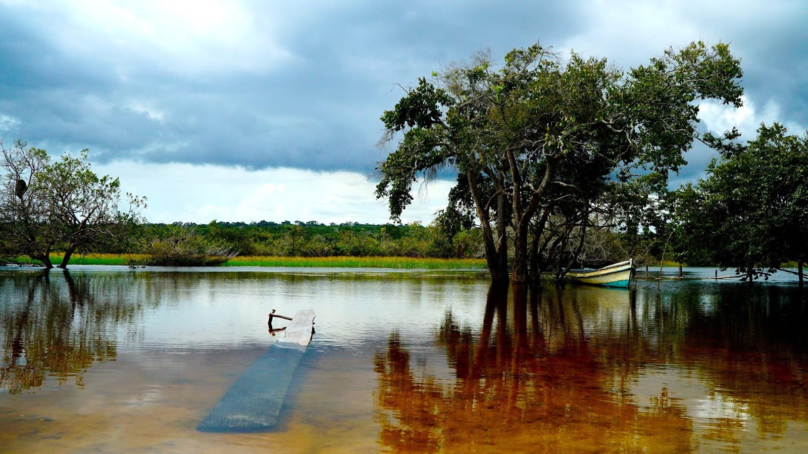 Paisagem do Lago Verde e Igarapé do Macaco