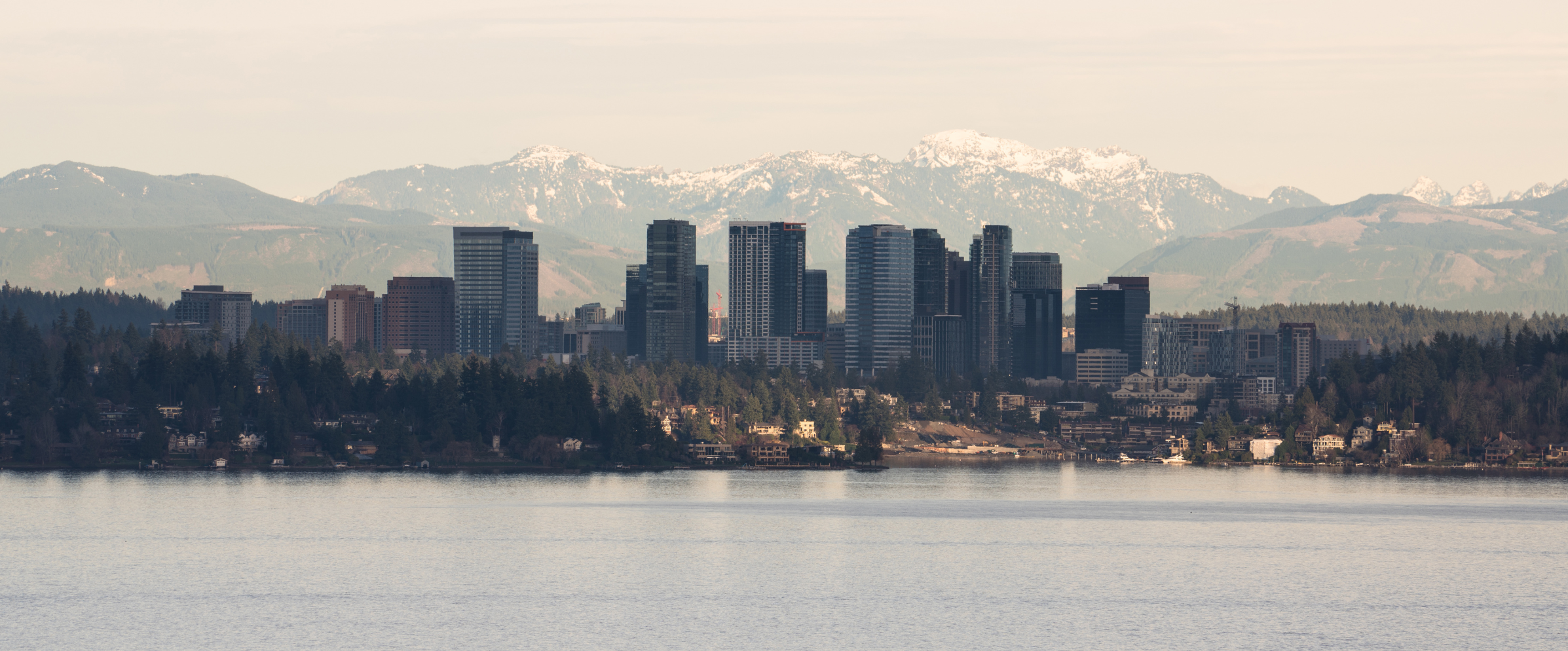 Affordable Housing Strategy: Council accepts PLUSH's recommendations