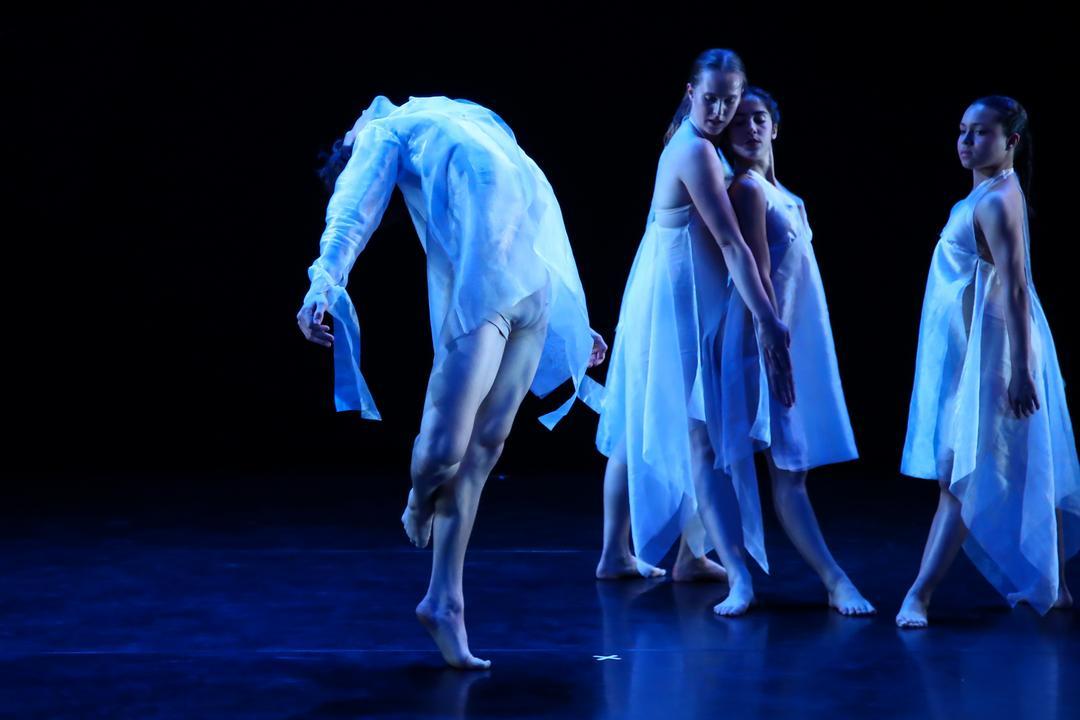 Lewis Center for the Arts presents the 2025 Princeton Dance Festival at McCarter Theatre