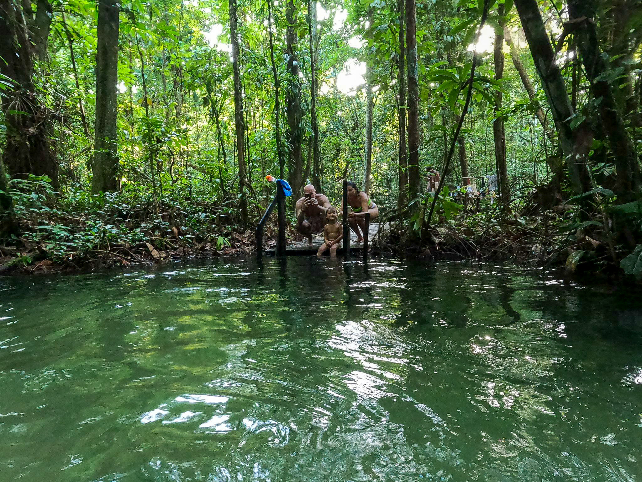 Caminhada pela mata densa e preservada da Amazônia