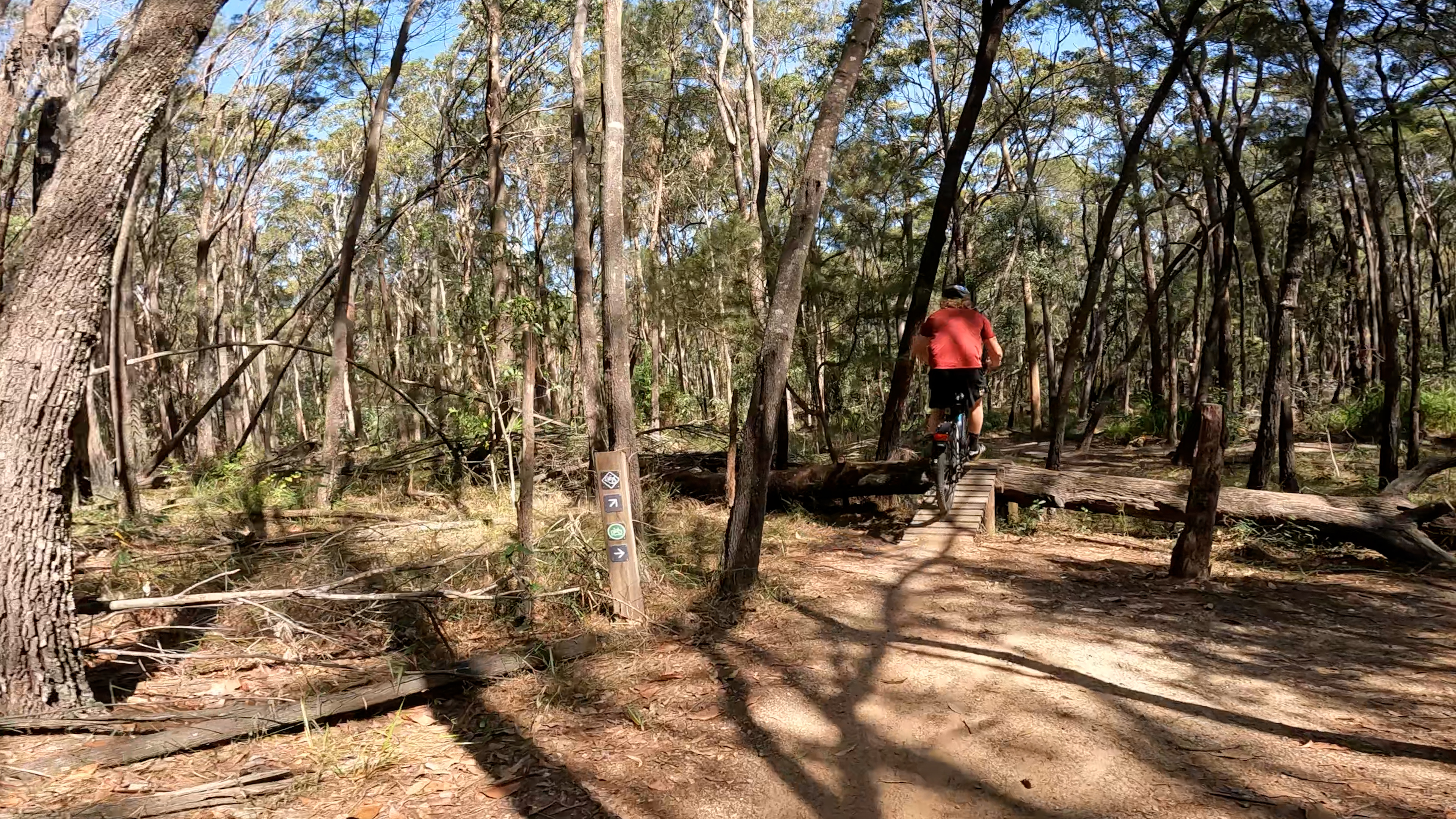 Ewan Maddock Ferny Forest Mtb Trails Sunshine Coast Electric Bike
