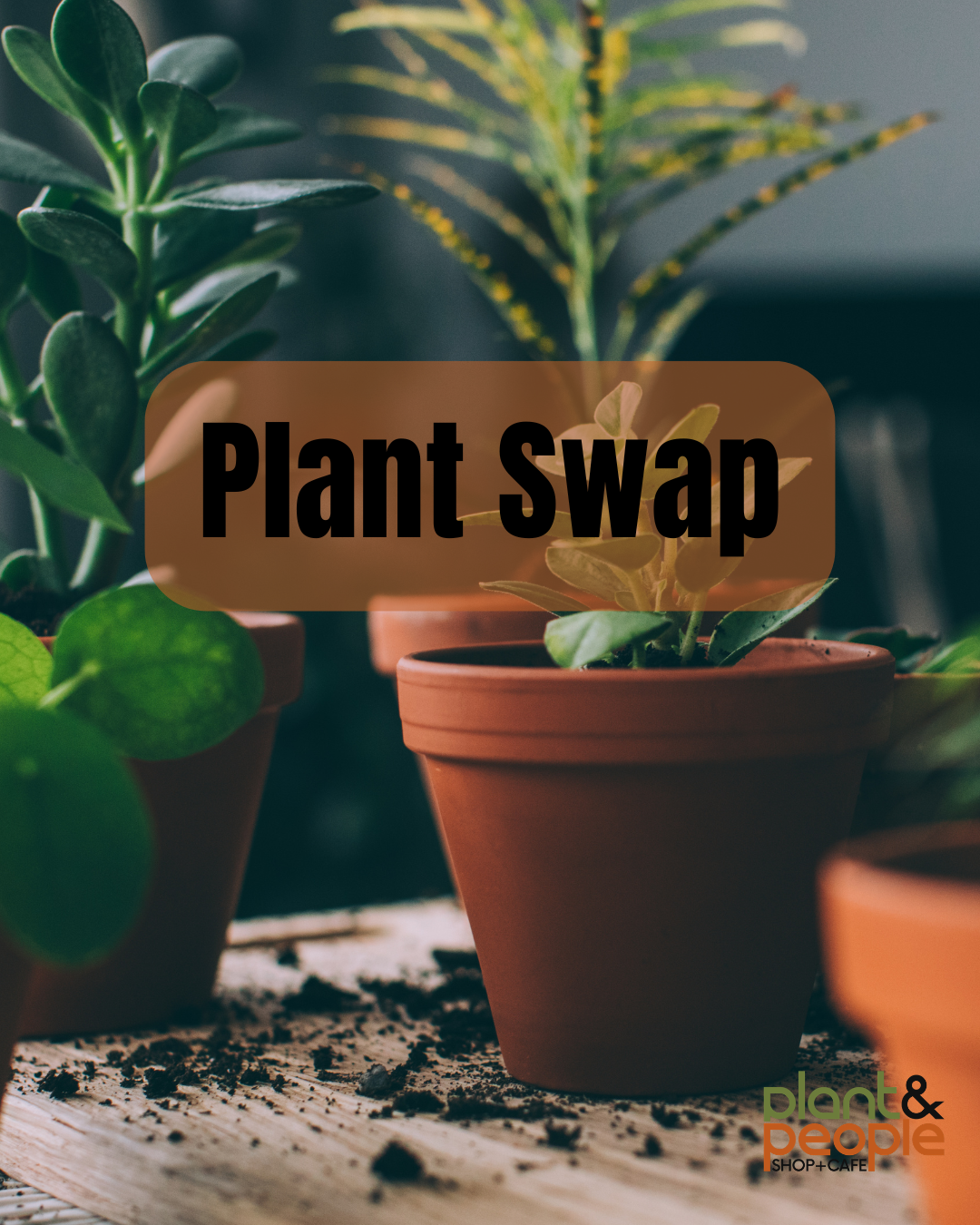 Plant Swap