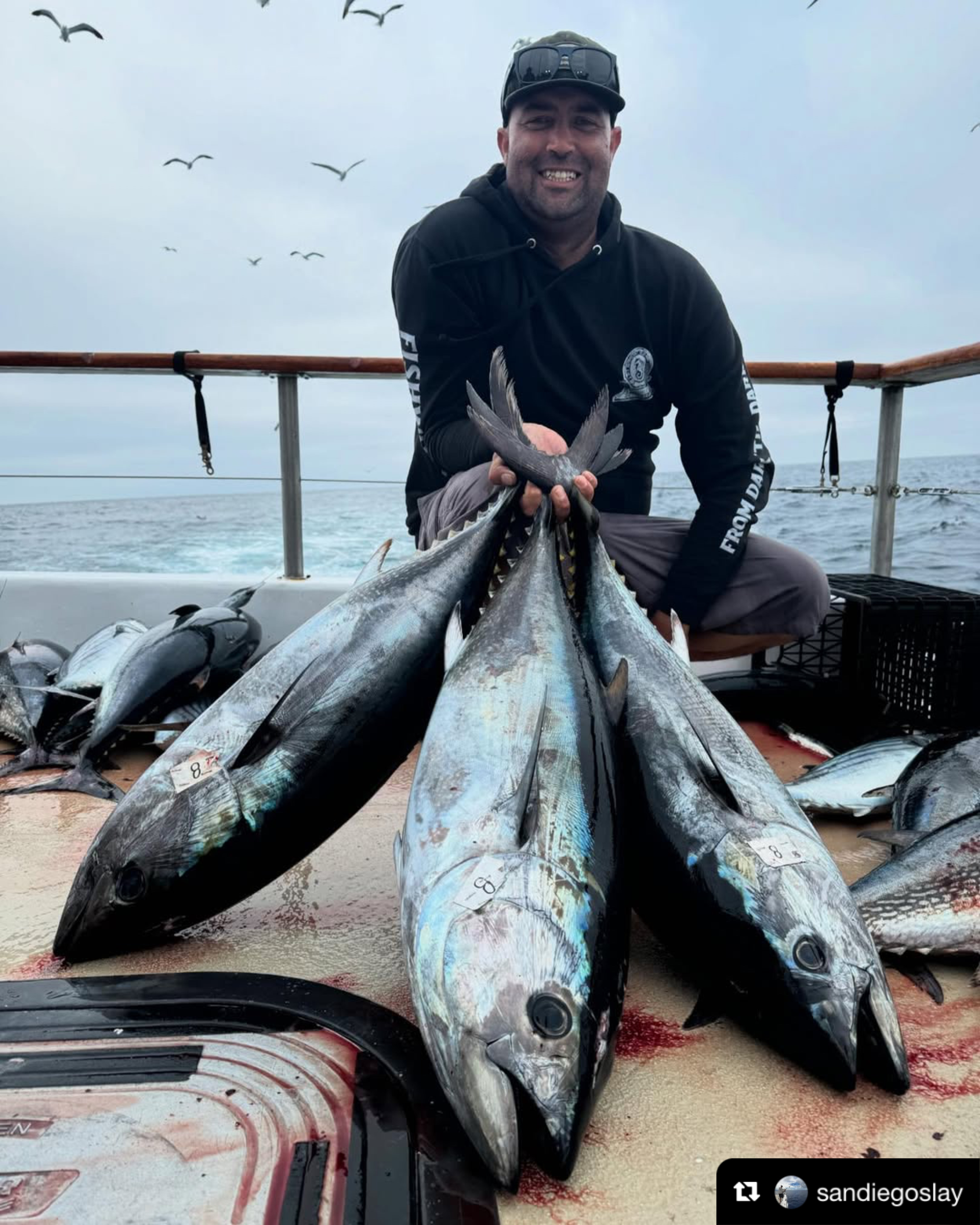 Black Hole USA Cape Cod Special 2PC Travel 502 Jigging Blanks