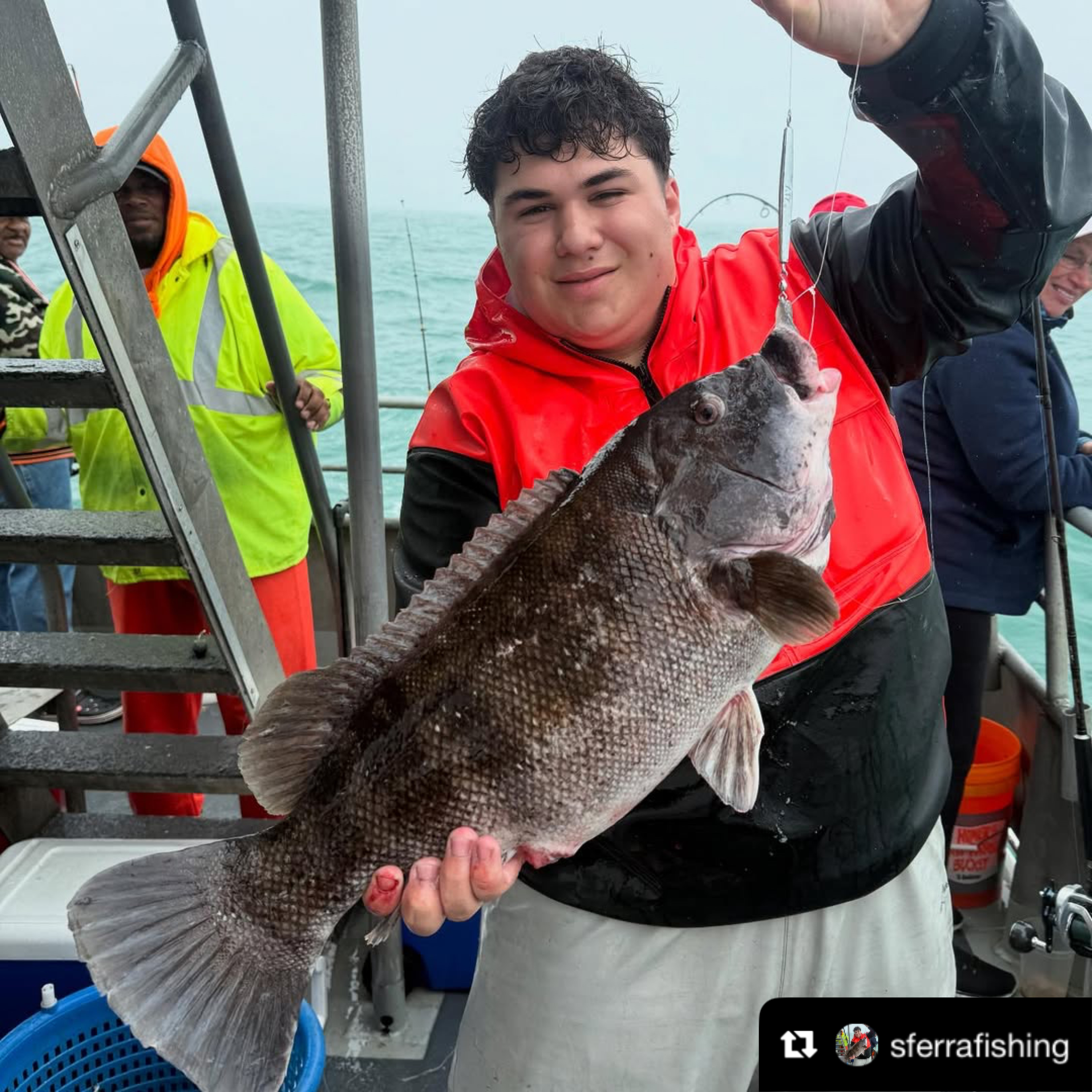 Black Hole USA Surf II Blanks, Black Hole USA, Black Hole, Surf II