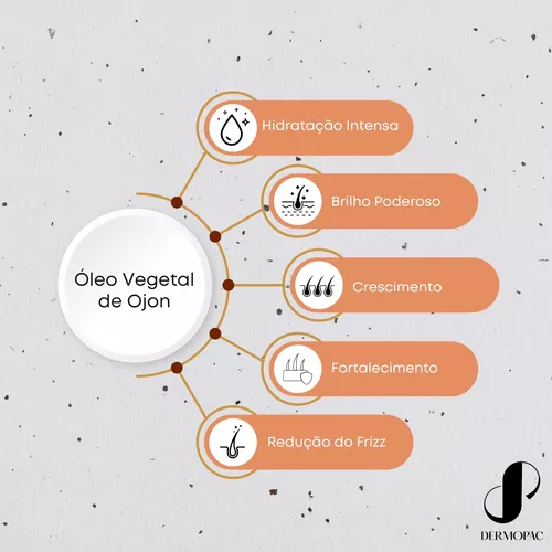 Segundo Slide
