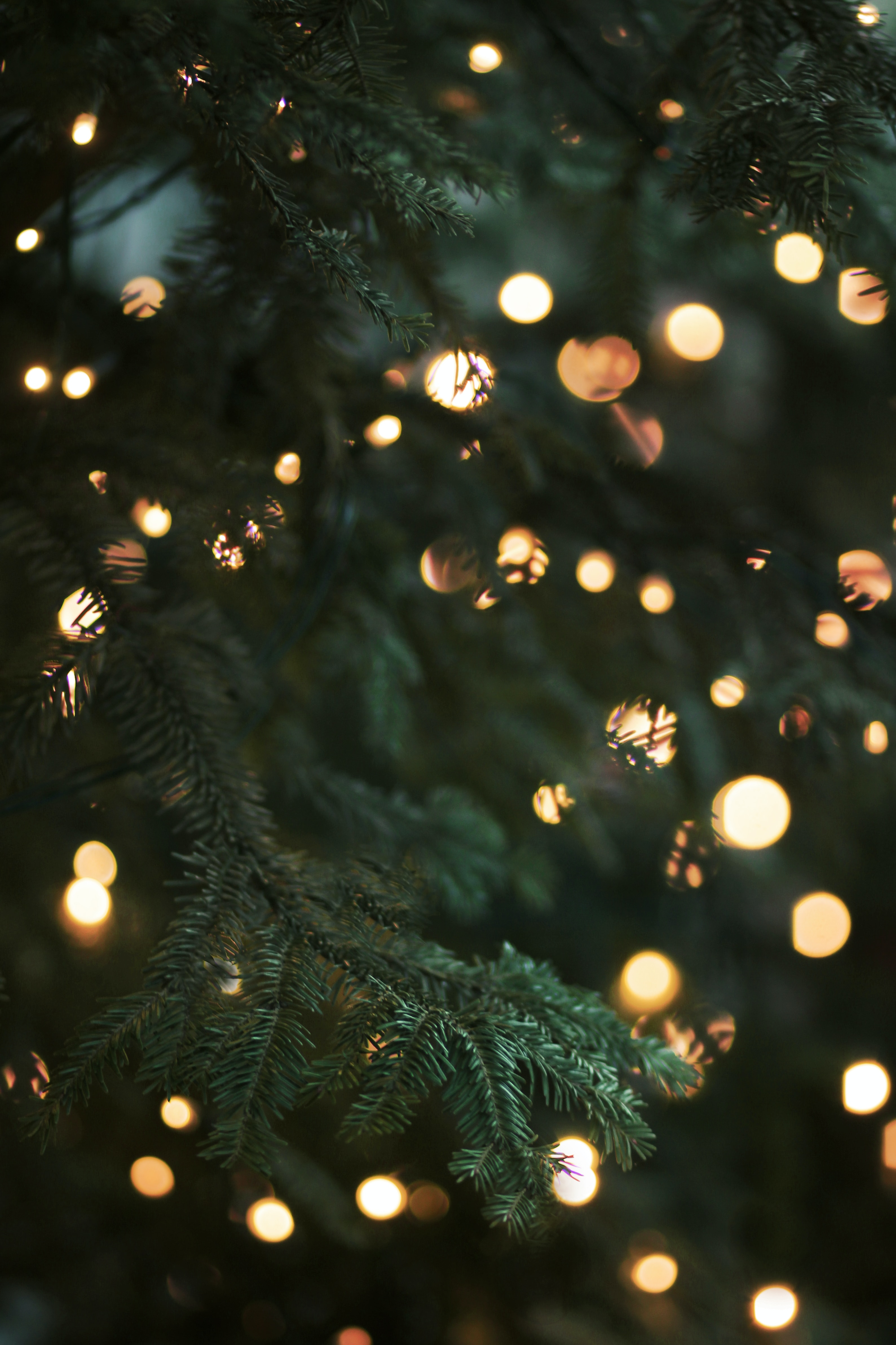 Christmas w/ Pray Chatt — Community in Maple Street Biscuit Co. · Chattanooga, TN
