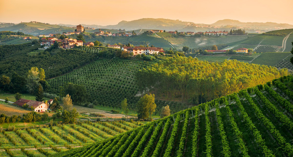 Asti e Monferrato — Cartello QR GetYourGuide Piemonte