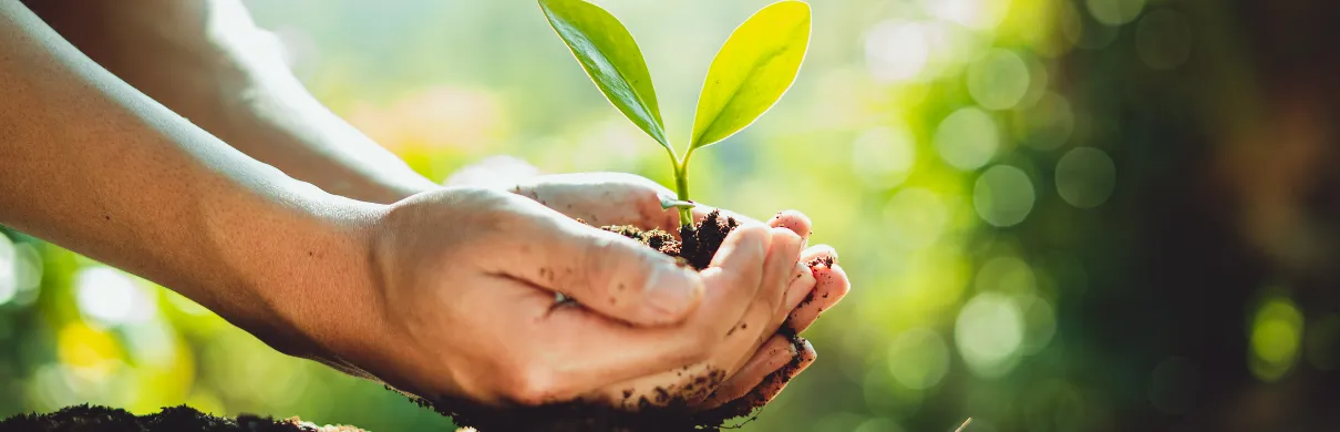 ¿Se puede construir sin dañar el planeta?