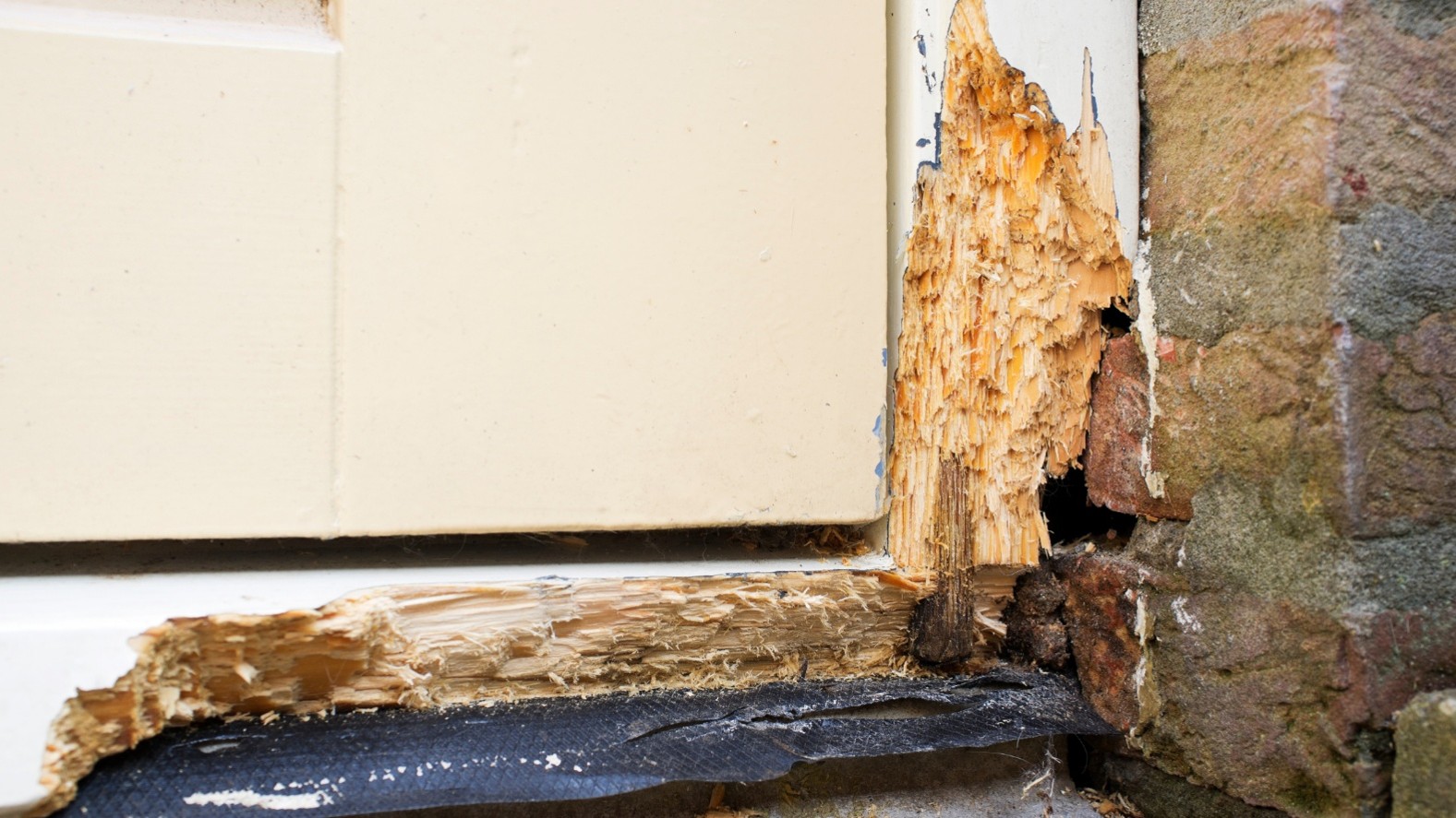 Wood Rot Repair in Overland Park